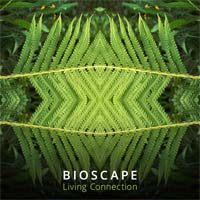 Bioscape - Living Connection